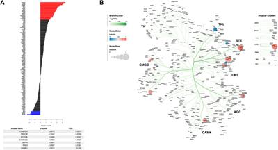 Prenatal methadone exposure selectively alters protein expression in primary motor cortex: Implications for synaptic function